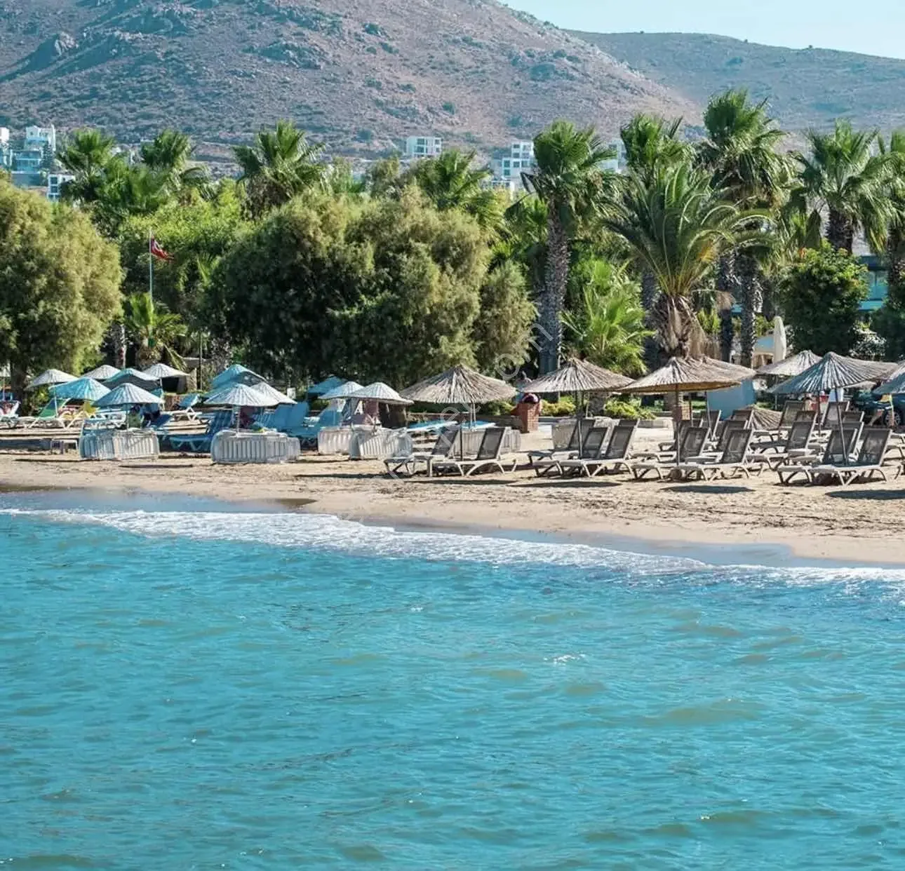 Bodrum Sundance Seafront 1+1 Apartment, photo 3