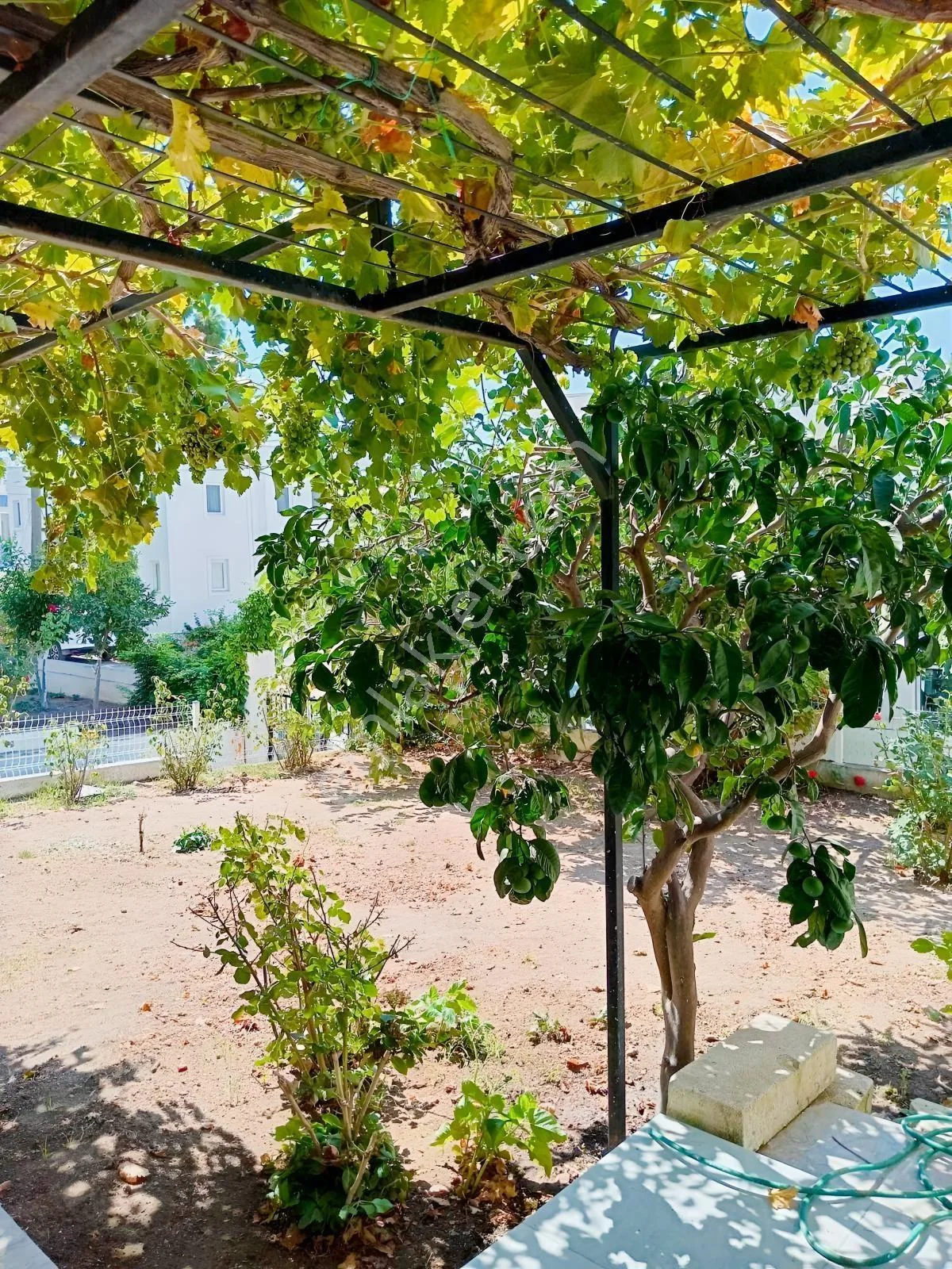 For Sale in Turgutreis Yalı, 100 M from the Beach, 2+1 with Winter Garden, photo 4