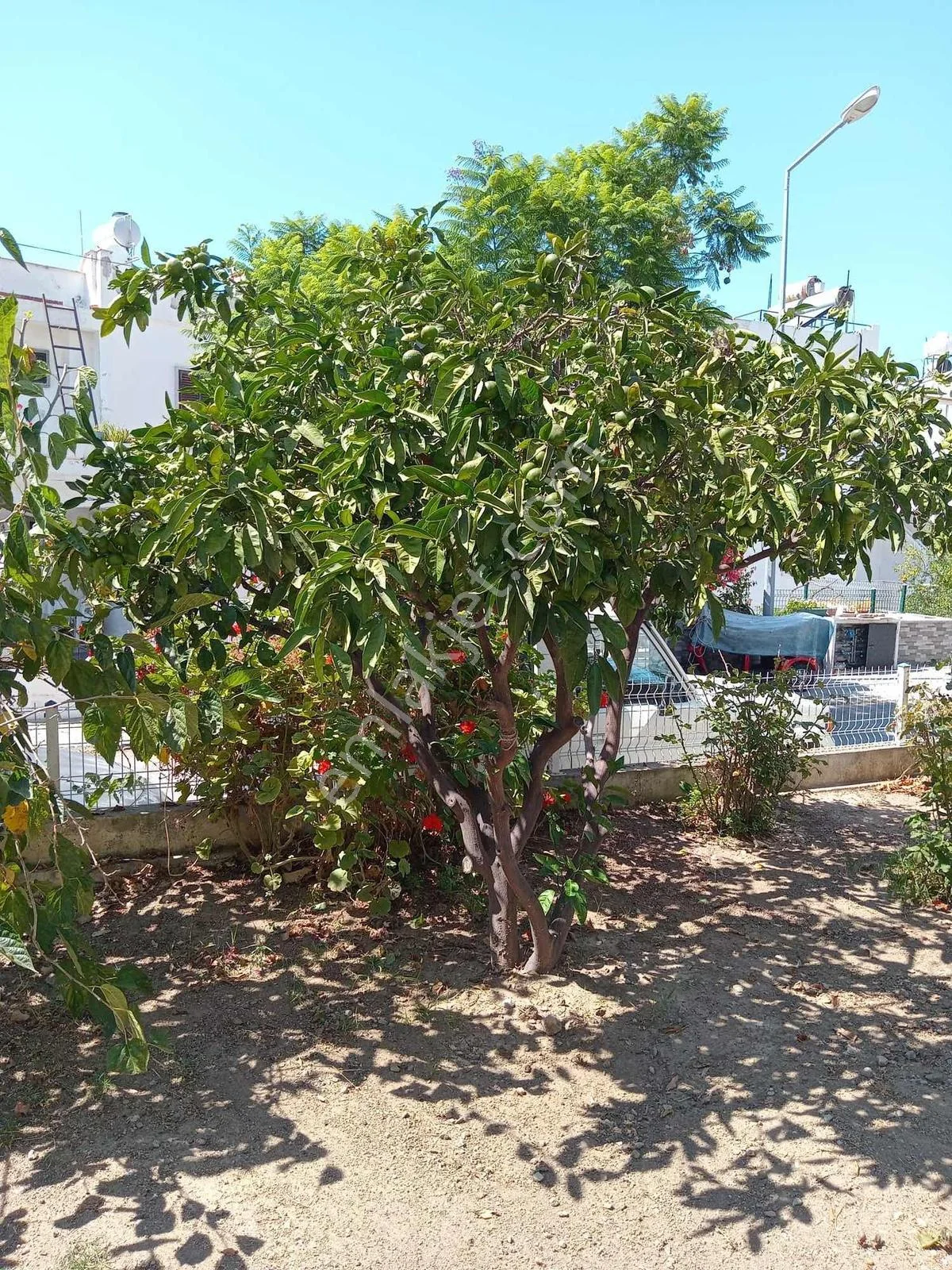 For Sale in Turgutreis Yalı, 100 M from the Beach, 2+1 with Winter Garden, photo 5