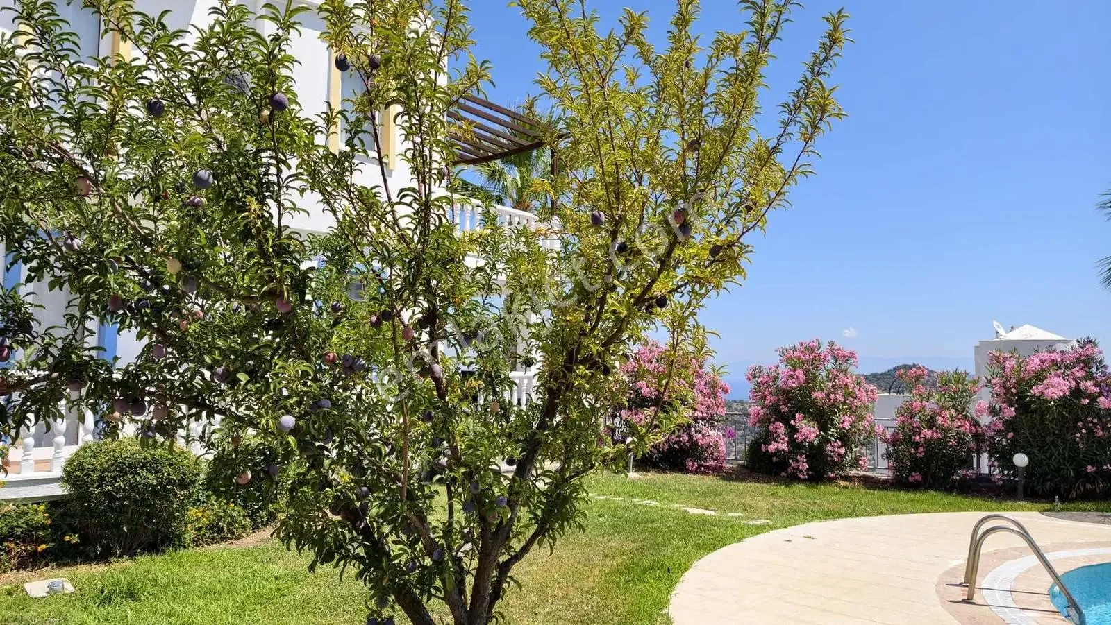 Garden Floor Flat with Sea View and Pool Facade in Yalıkavak, photo 5