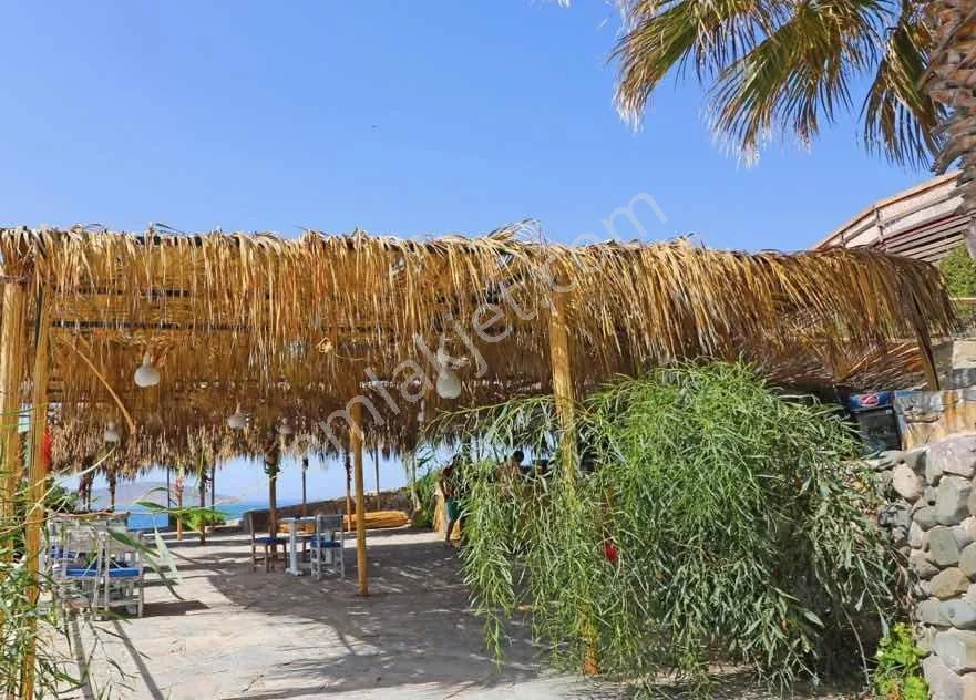 Villa mit einzigartiger Aussicht am Privatstrand Gumusluk Yalikavak, photo 4