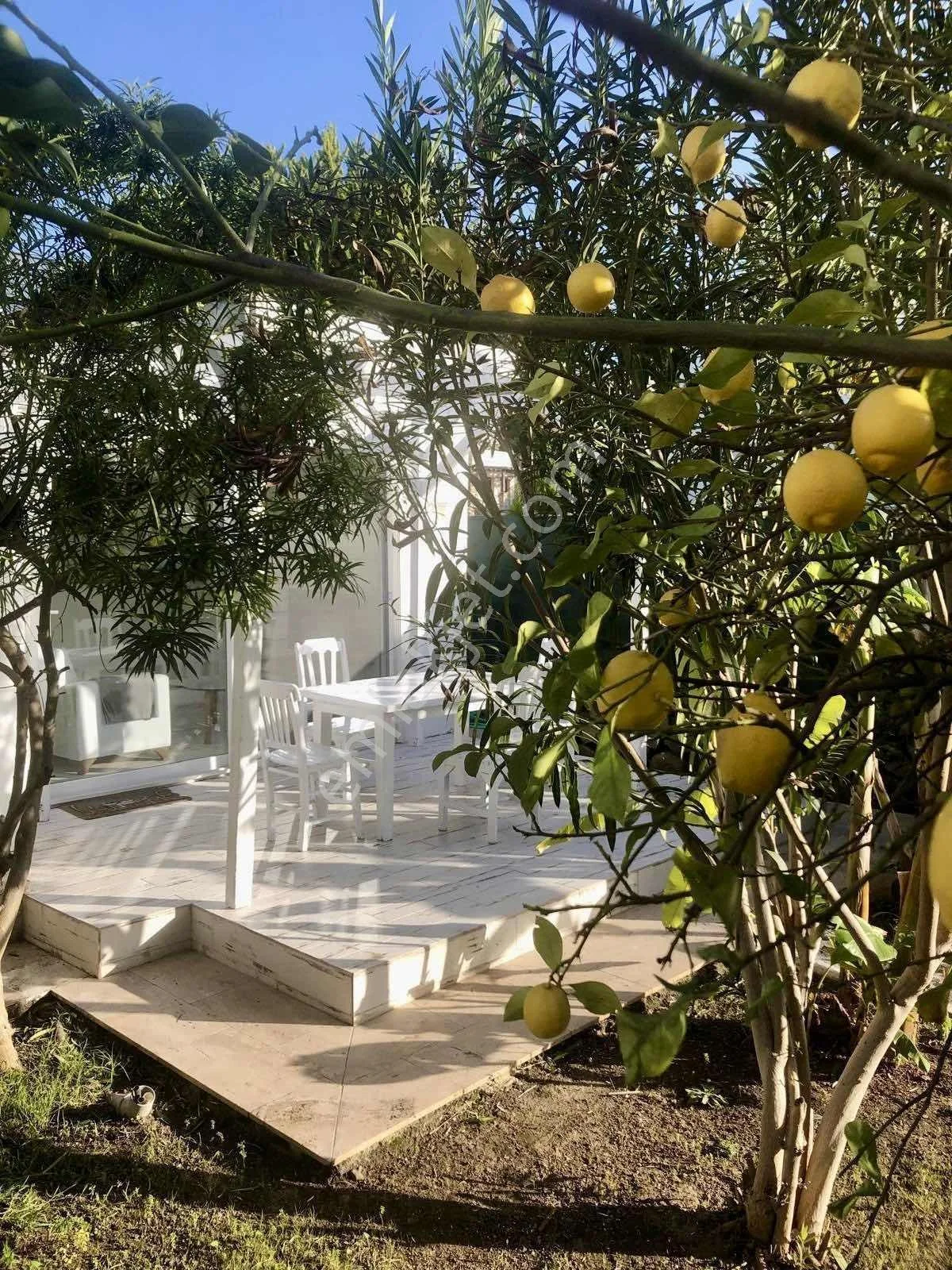 Komplettes Grundstück zum Verkauf in herrlicher Lage in Bodrum Yalıkavak, photo 2
