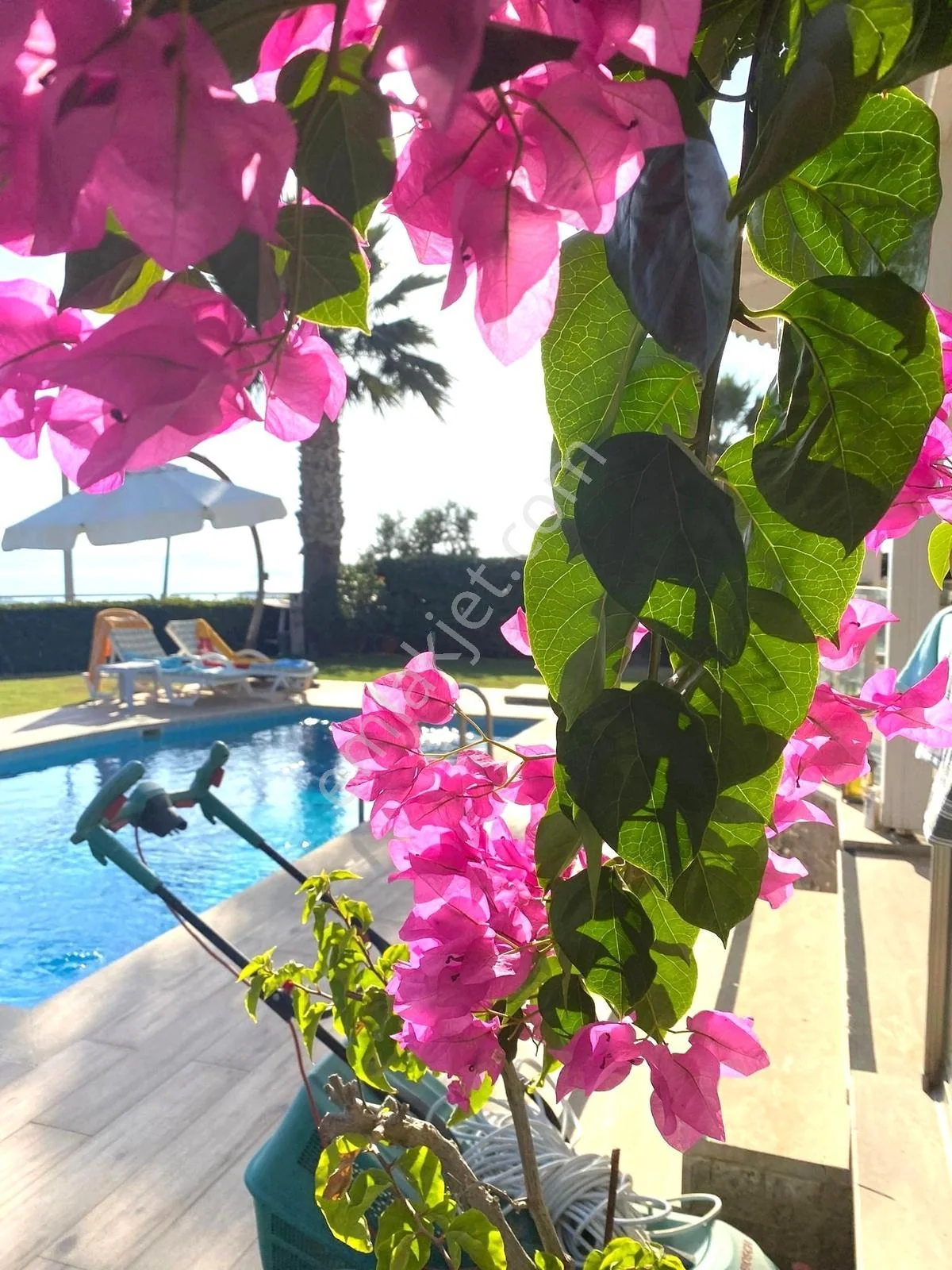 Yalıkavak Gerişde Deniz Manzaralı Özel Havuzlu Satılık Villa, photo 3