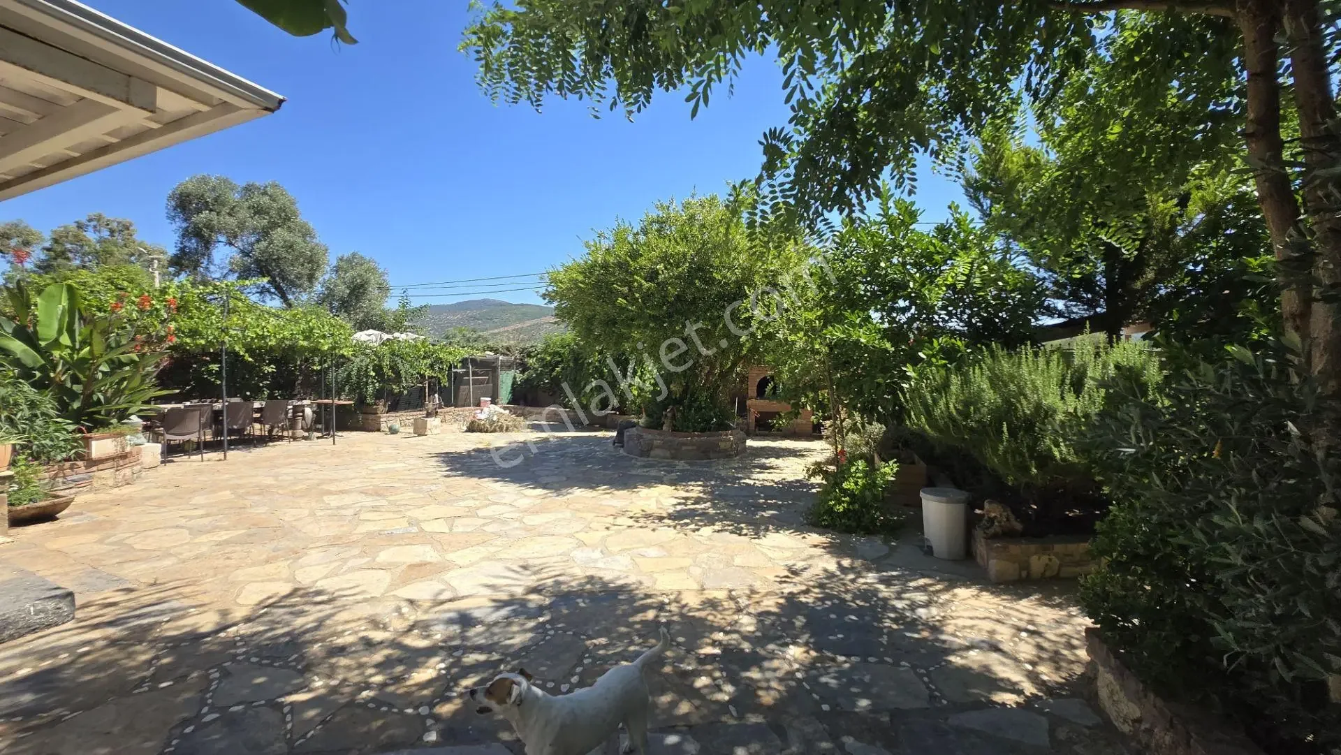 4+1 Detached House and Guest House for Sale in Bodrum Kızılağaç, photo 1