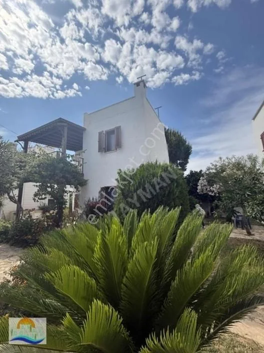 50m to the Sea, 2+1 Duplex Detached House in Gümüşlük Kadıkalesi, photo 4