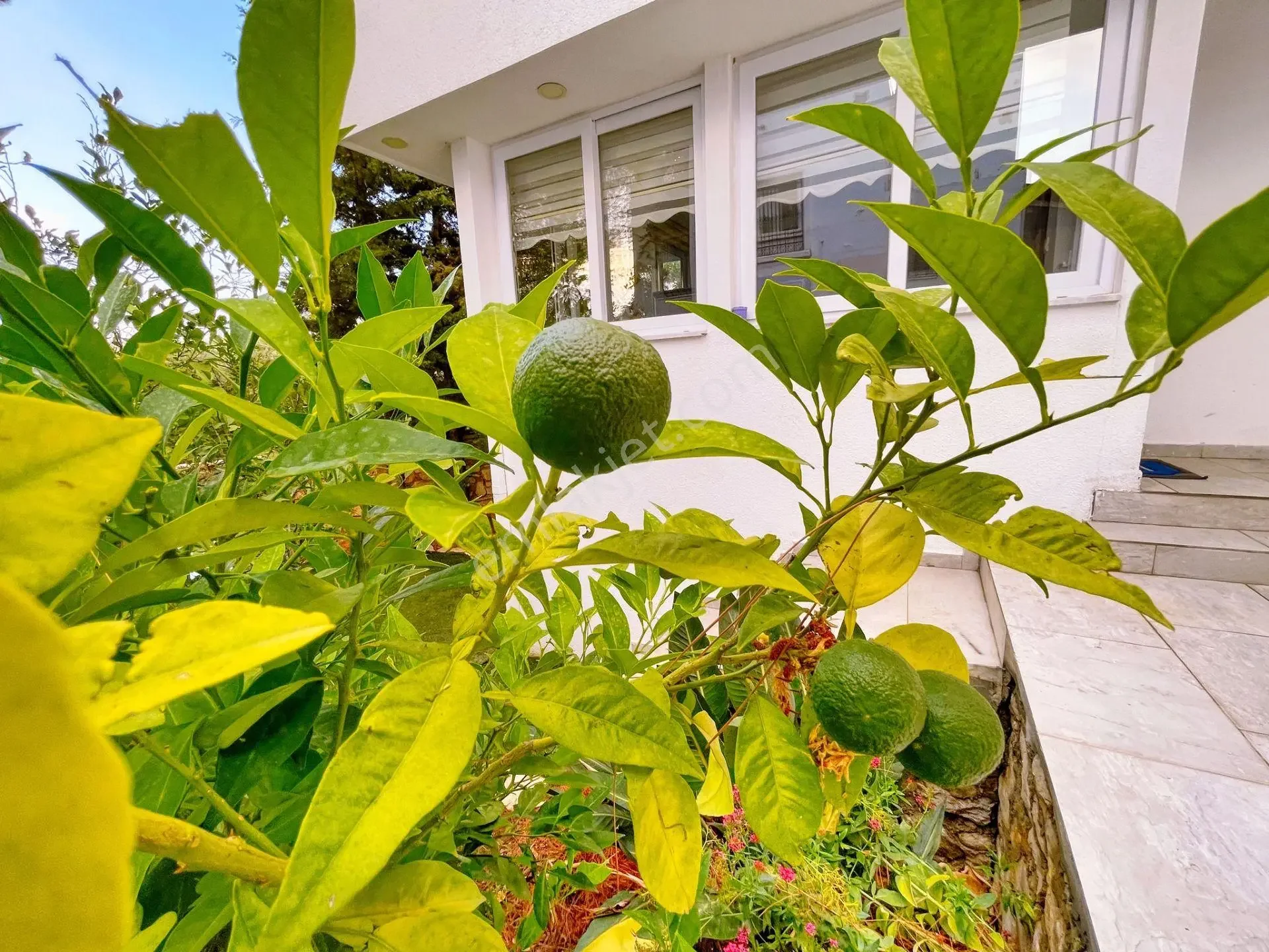 4+2 Maisonette-Villa mit Meerblick zum Verkauf in Bodrum Torba, photo 5